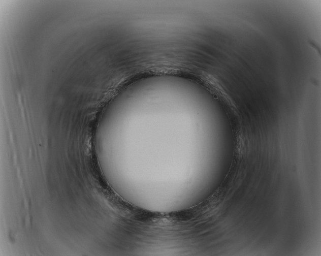 X0000103470259200809121126