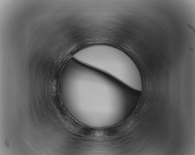 X0000103470264200809121126