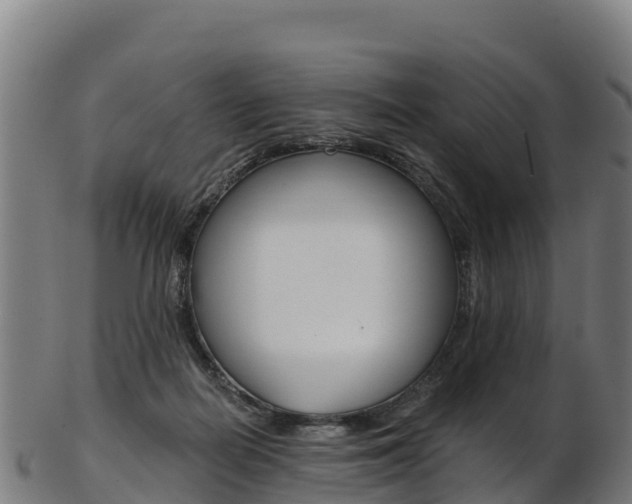 X0000103470266200809121126
