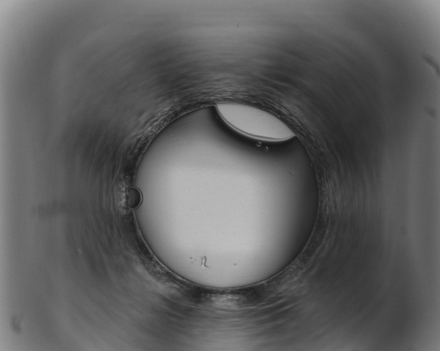 X0000103470268200809121126