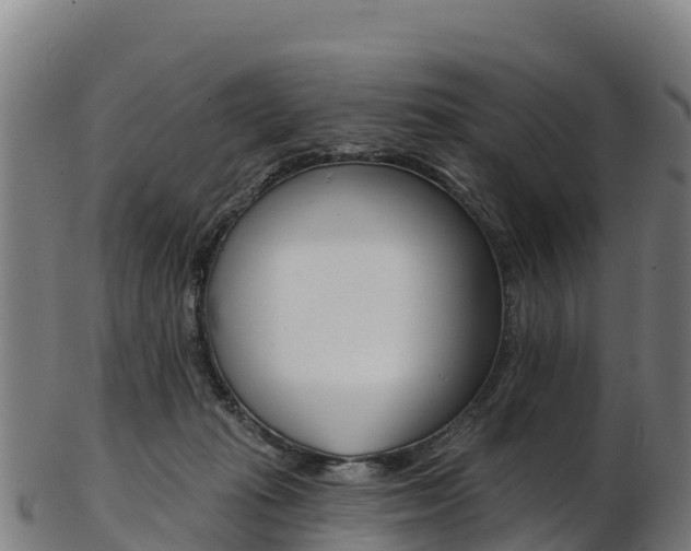 X0000103470269200809121126