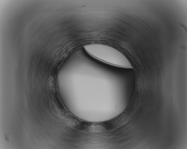 X0000103470270200809121126