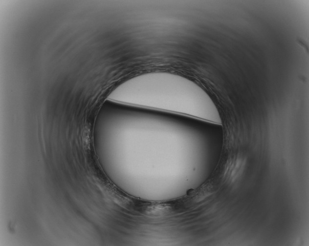 X0000103470274200809121127