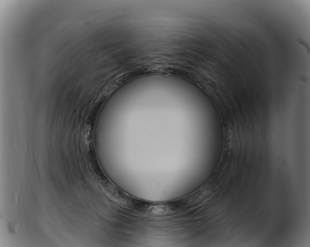 X0000103470275200809121127