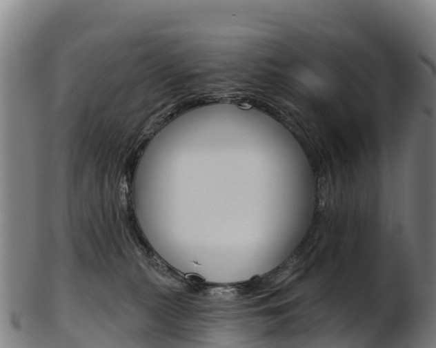 X0000103470279200809121127