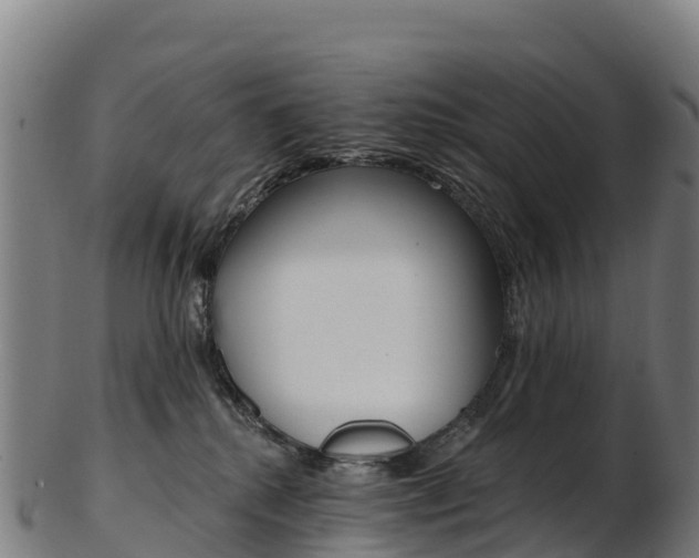 X0000103470280200809121127