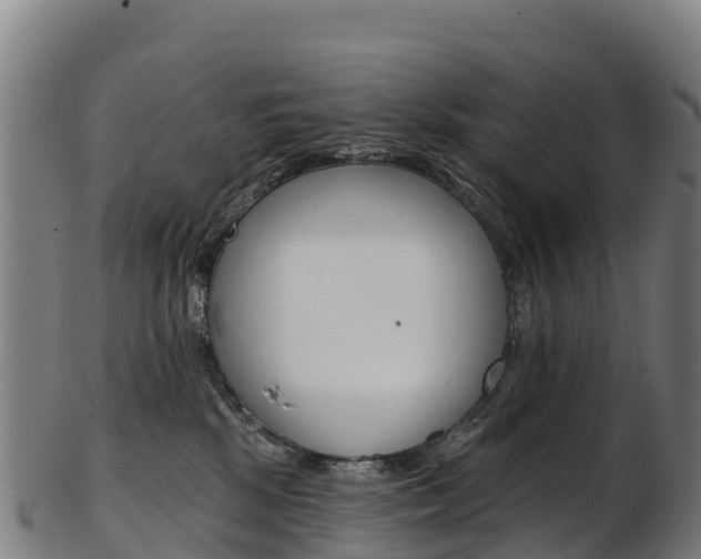 X0000103470281200809121127