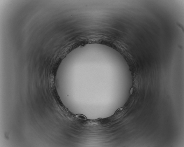X0000103470283200809121127