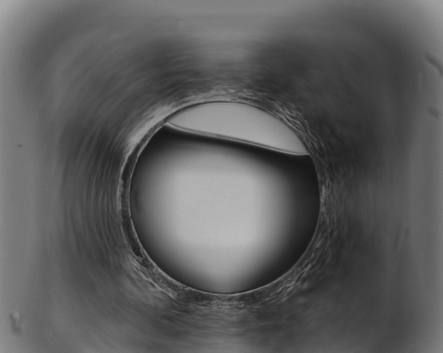 X0000103470292200809121126