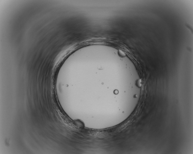 X0000103470293200809121126