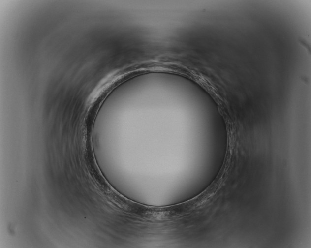 X0000103470295200809121126