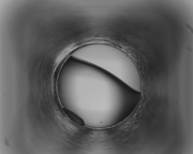 X0000103470296200809121126