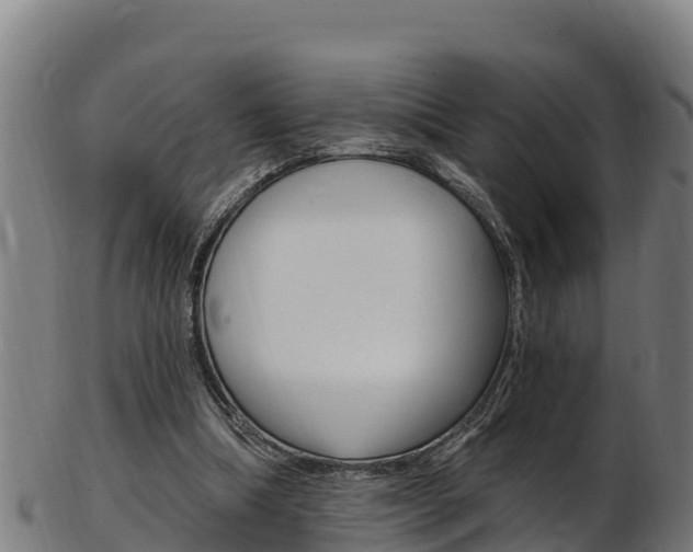 X0000103470298200809121126