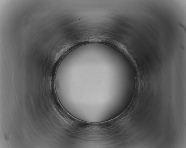X0000103470299200809121126