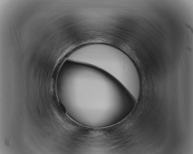 X0000103470300200809121126