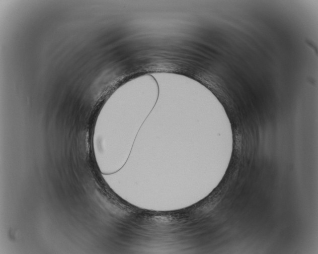 X0000103470302200809121126