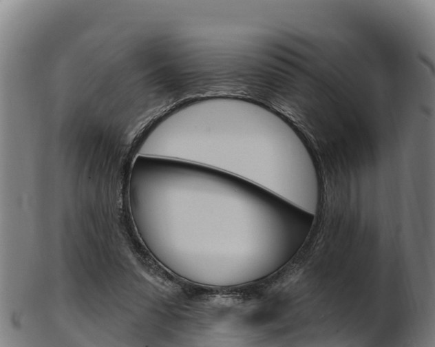 X0000103470303200809121126