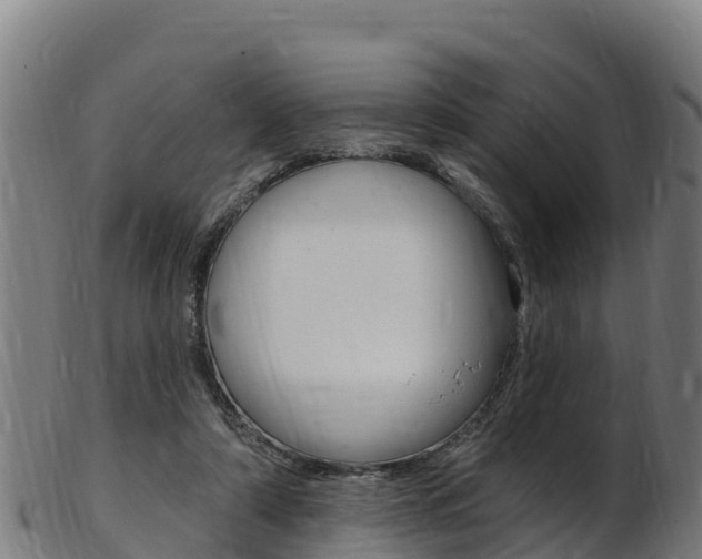 X0000103470306200809121126