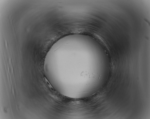 X0000103470307200809121126
