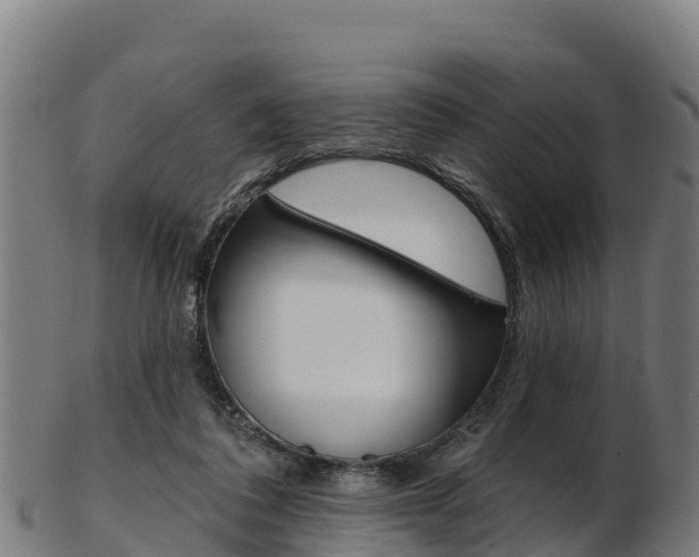 X0000103470308200809121126