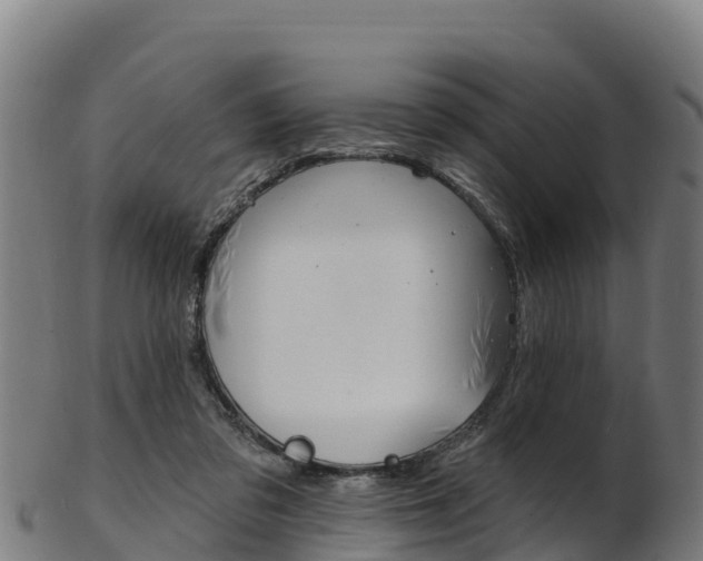 X0000103470309200809121126