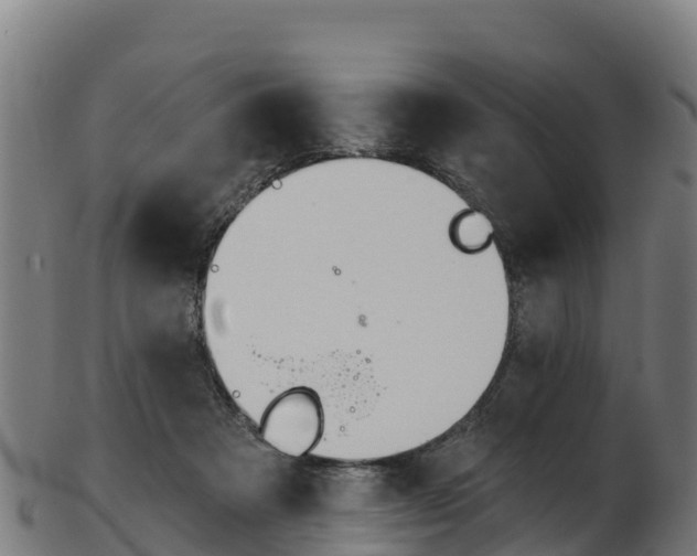 X0000103470313200809121126