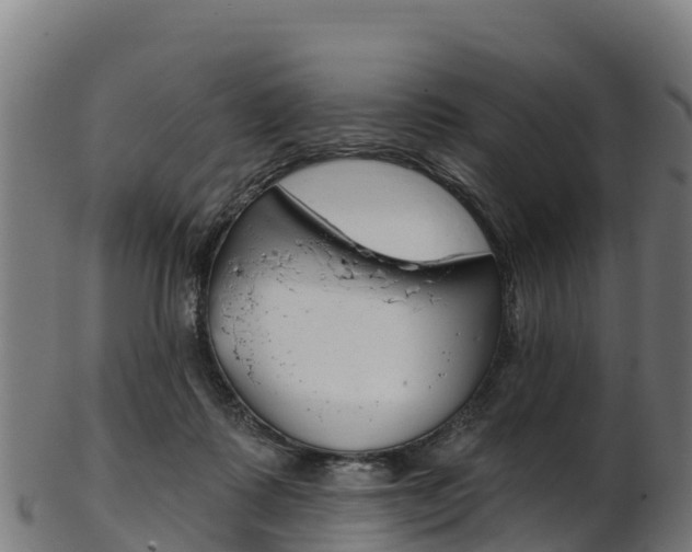 X0000103470315200809121126
