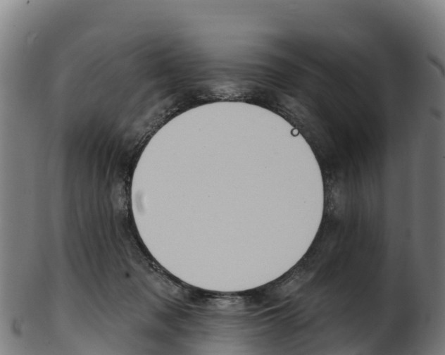 X0000103470317200809121126