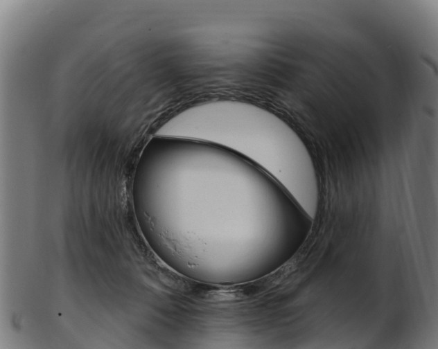 X0000103470320200809121126
