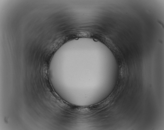 X0000103470322200809121126