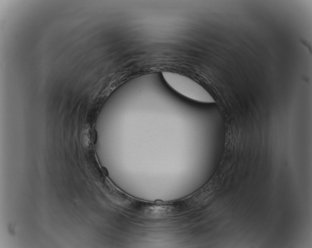 X0000103470323200809121126