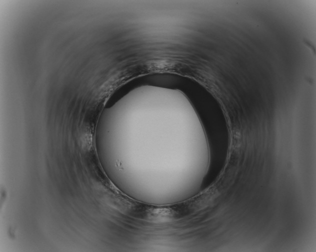 X0000103470324200809121126