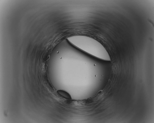 X0000103470327200809121126