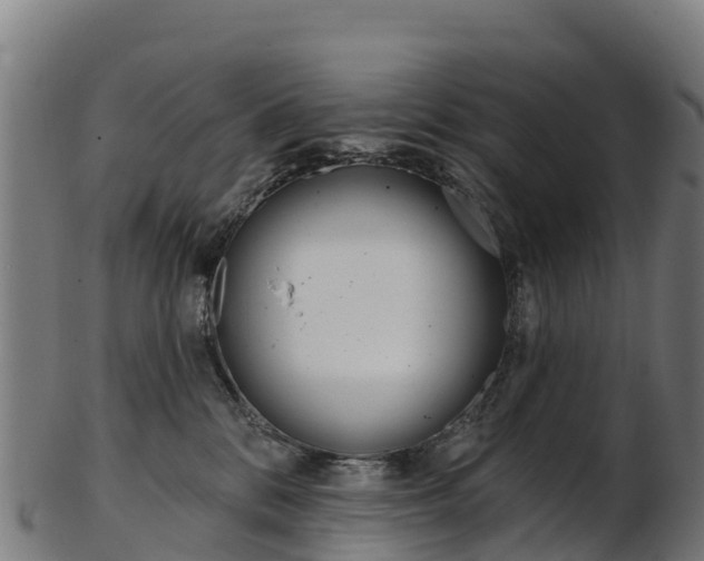 X0000103470328200809121126