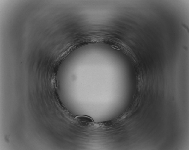 X0000103470329200809121126