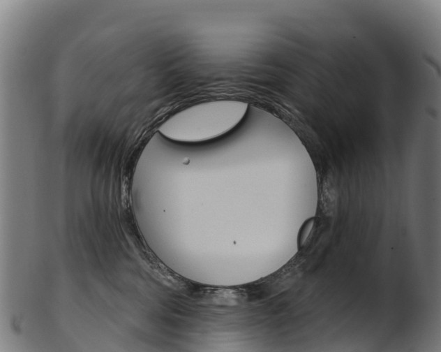 X0000103470330200809121125