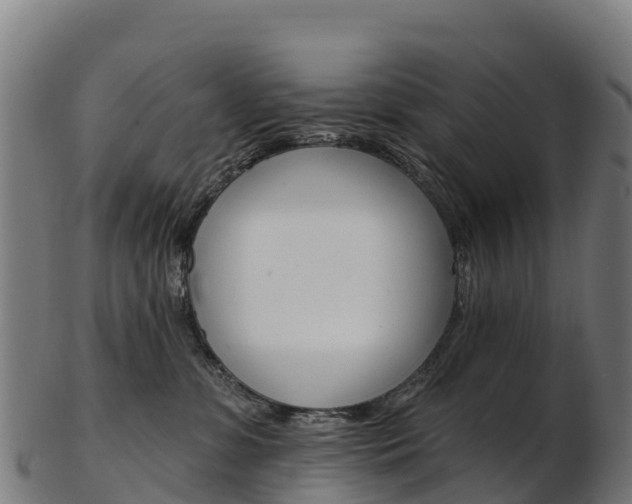 X0000103470331200809121125