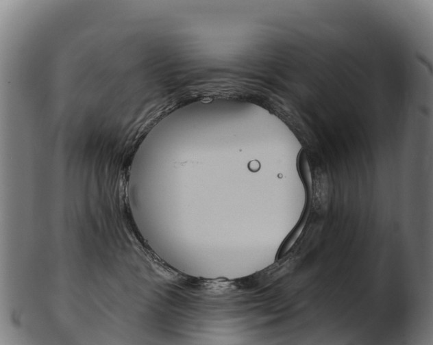 X0000103470333200809121125