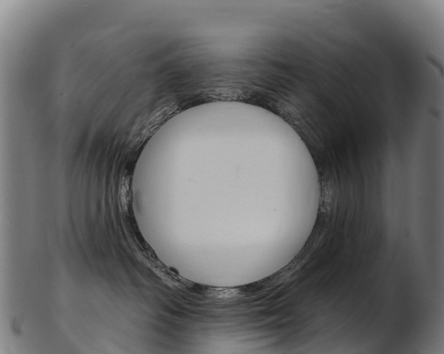 X0000103470334200809121125