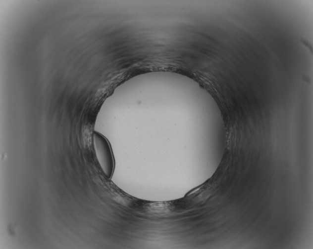 X0000103470335200809121125