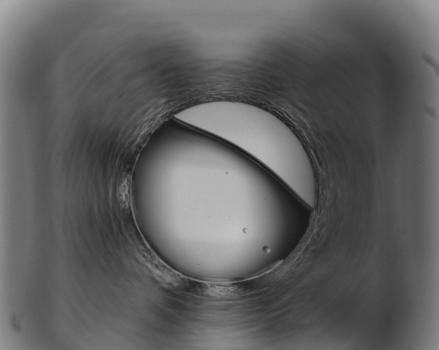 X0000103470336200809121125