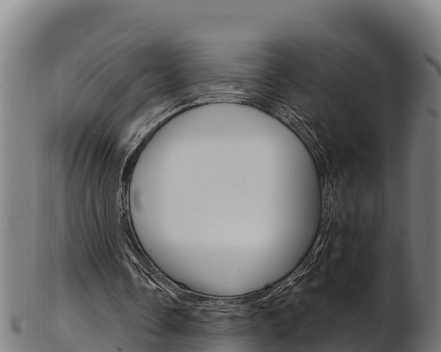 X0000103470338200809121125