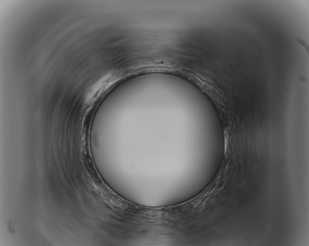 X0000103470339200809121125