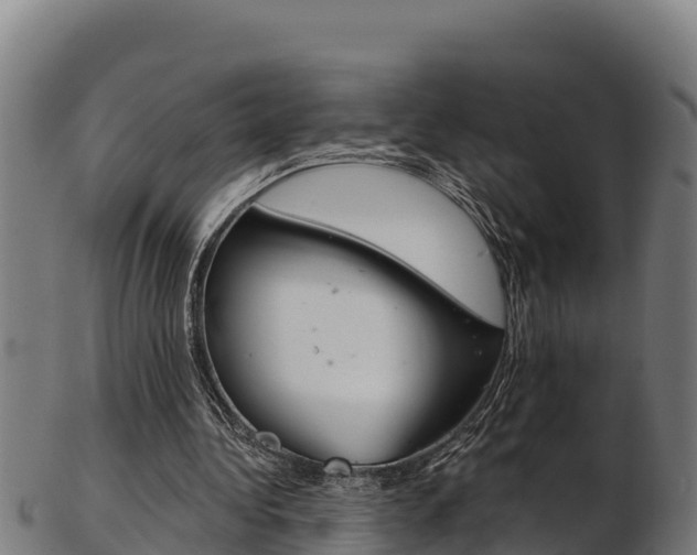 X0000103470340200809121125