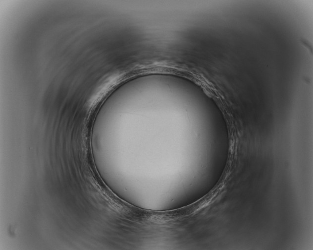X0000103470341200809121125