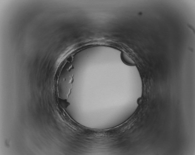 X0000103470344200809121125