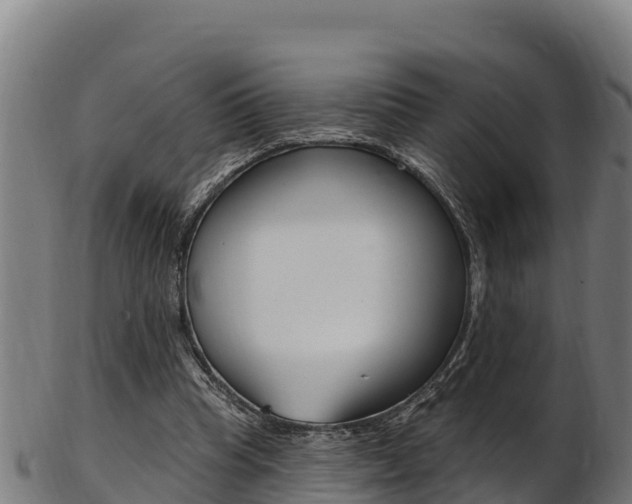 X0000103470345200809121125