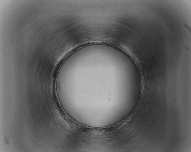 X0000103470346200809121125
