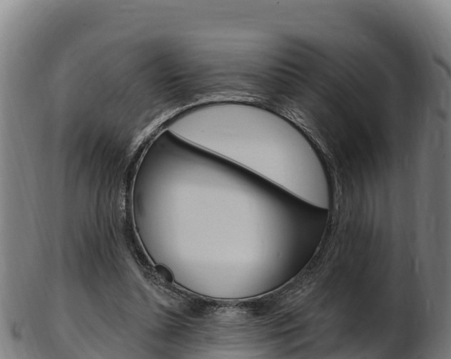 X0000103470348200809121125