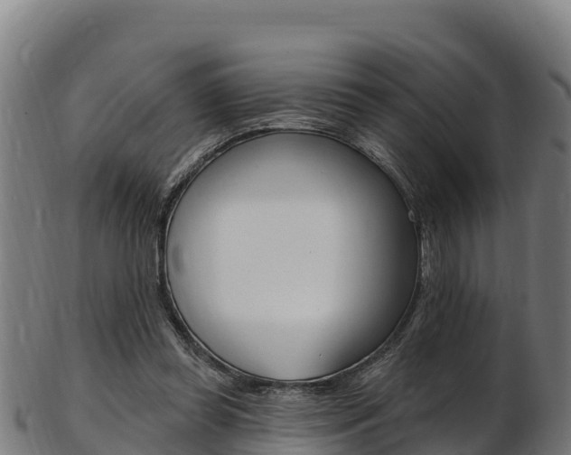 X0000103470349200809121125
